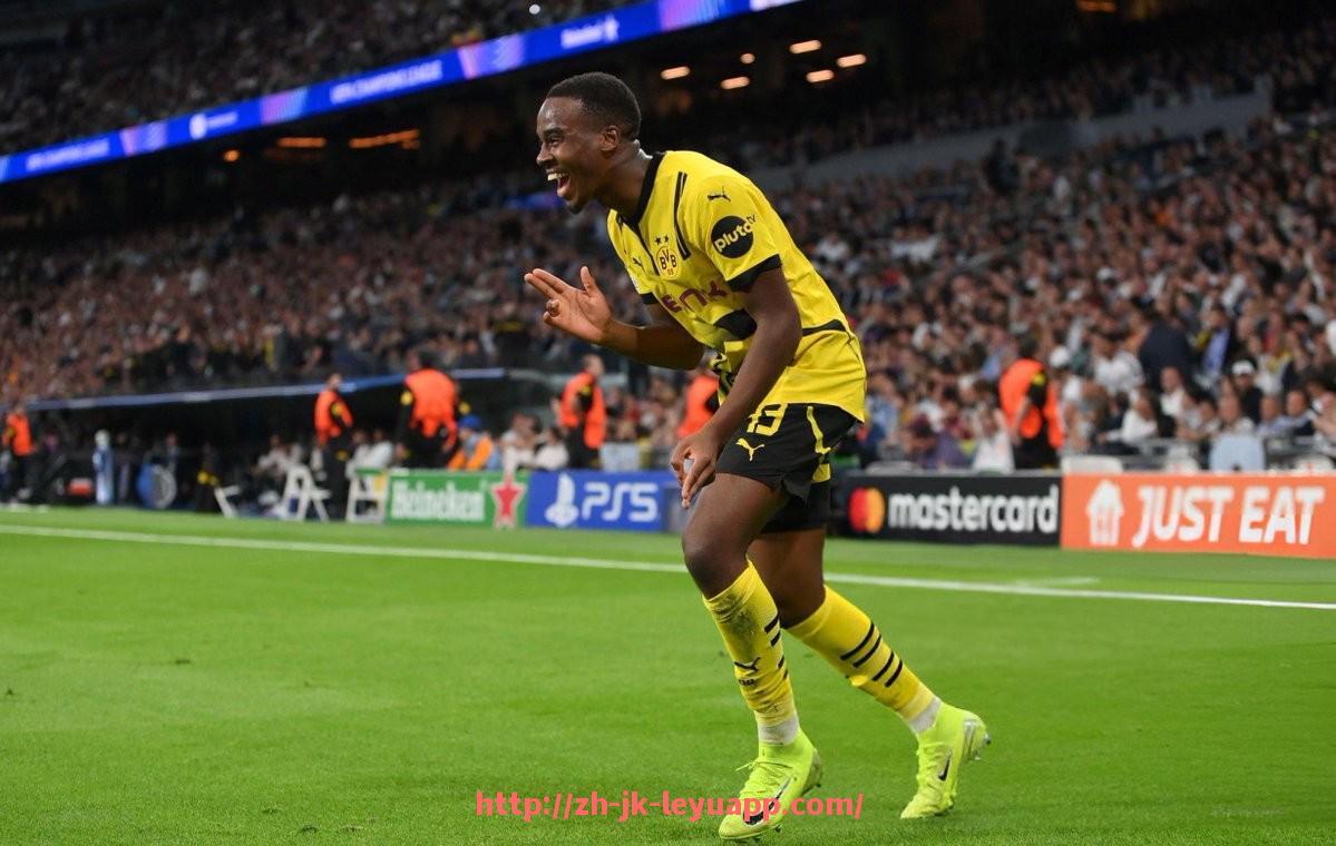 乐鱼体育入口-最新德甲球队身价榜单及价值排行解析